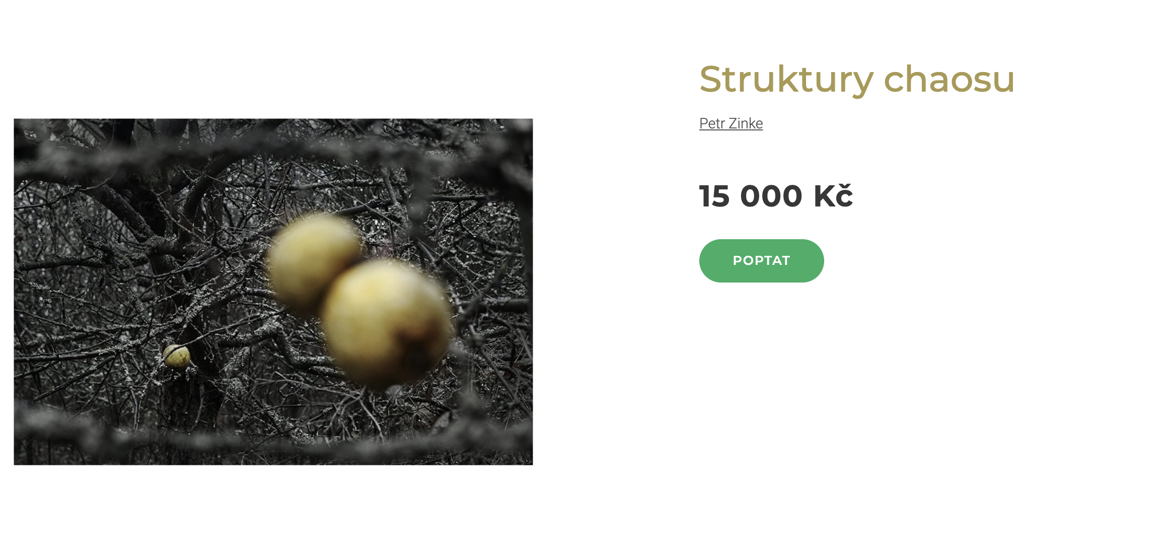 Snímek obrazovky 2023-11-07 v 23.03.15